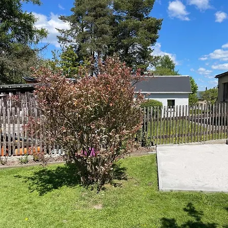 Goldhahn * Eibenstock